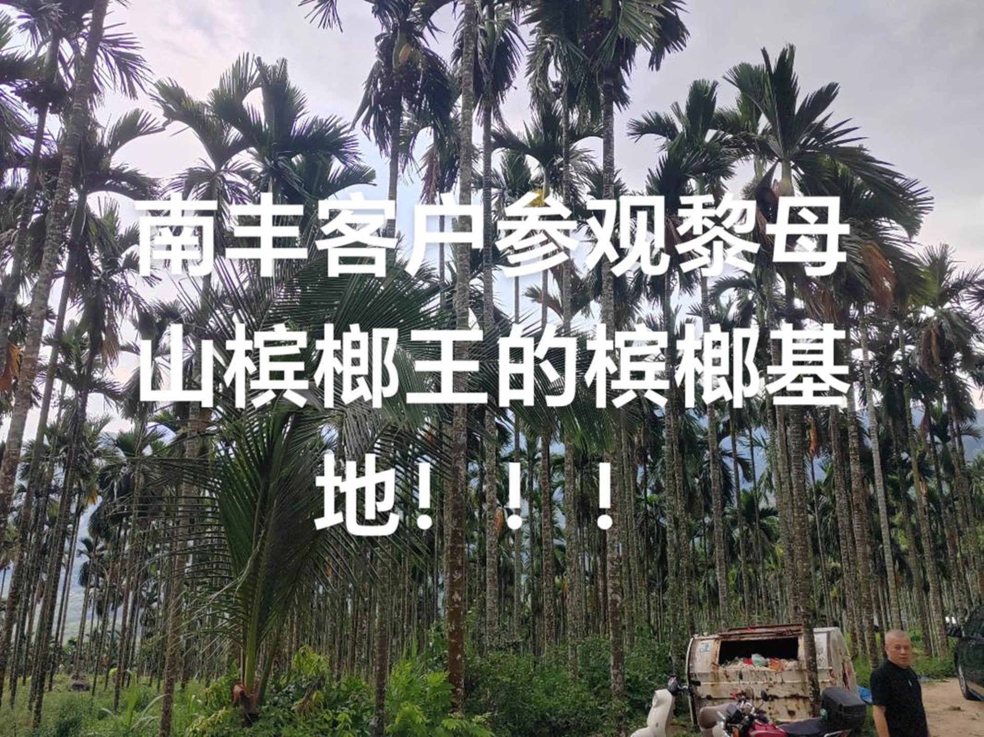 中国槟榔文化网